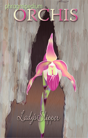 Botanical Illustration